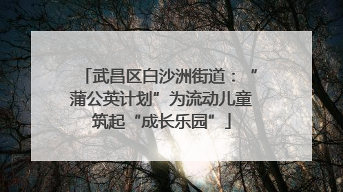 武昌区白沙洲街道：“蒲公英计划”为流动儿童筑起“成长乐园”